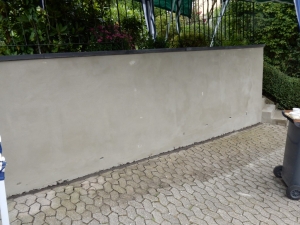 Renovier+Aussbesserung aussen15).JPG